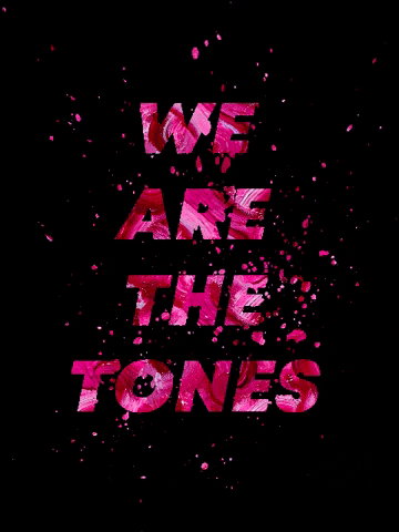 Tonecity GIF
