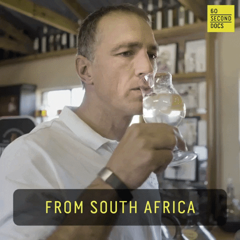 Gin And Tonic Drinking GIF by 60 Second Docs