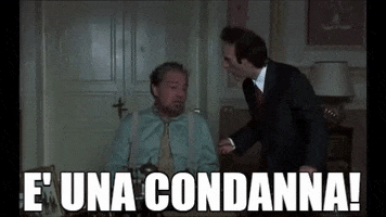 Zio GIF