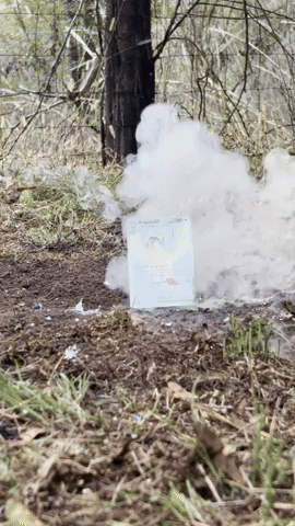 Disappointed Pokemon Tcg GIF