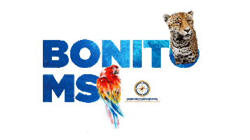 ROTEIRO BONITO MS Sticker