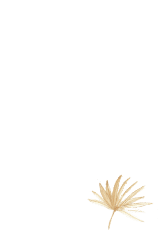 Andimejia Sticker