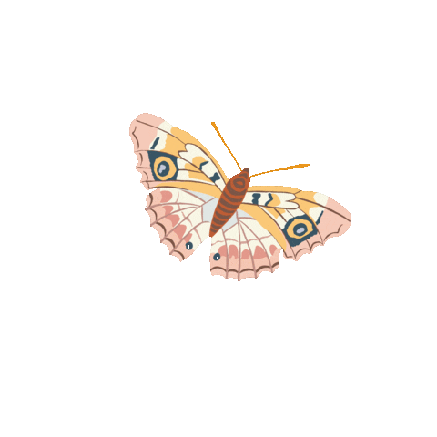 Summer Sticker
