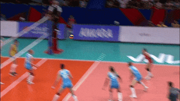 Joy Celebrate GIF by Volleyball World