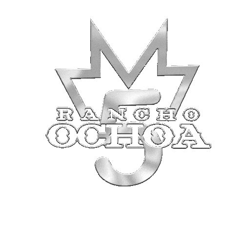 Festival Ranch Sticker by Lenusa Official