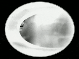 Smashing Pumpkins GIF