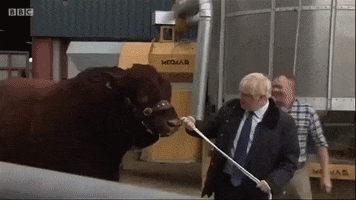 Boris Johnson Cow GIF