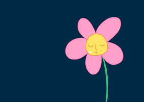 JessMurray5463 flower pink flower dancing flower singing flower GIF