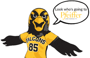 Falcons Soar Sticker by PfeifferAdmissions