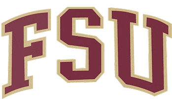 Florida State Football Sticker by Florida State University