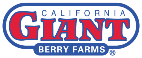 Strawberry Berry GIF by California Giant