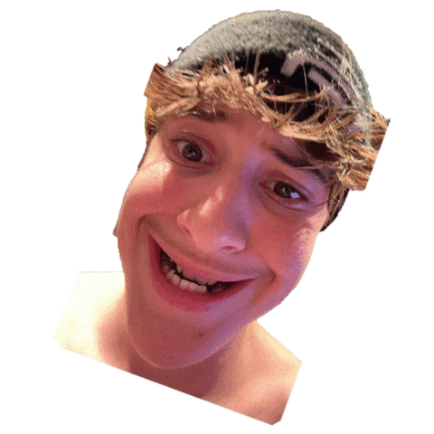 Gerstl Sticker by Evolve