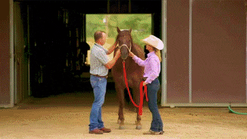 infectious disease horse GIF by LifeMinute.tv
