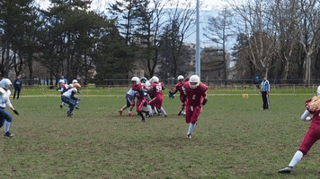 Lions de Bordeaux GIF
