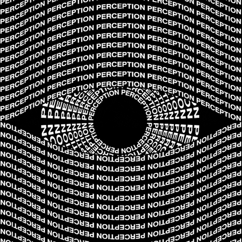 Eye Perception GIF