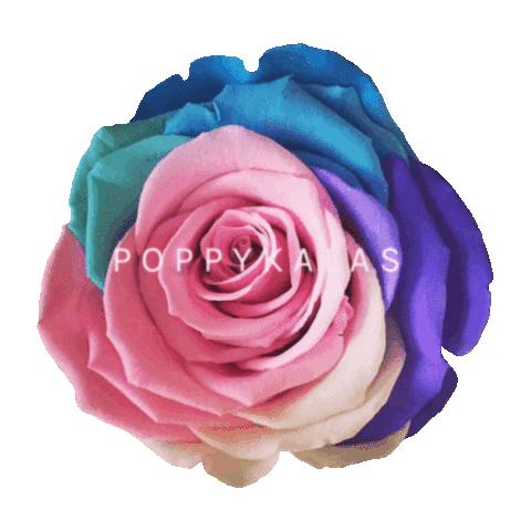 Poppykalas Sticker
