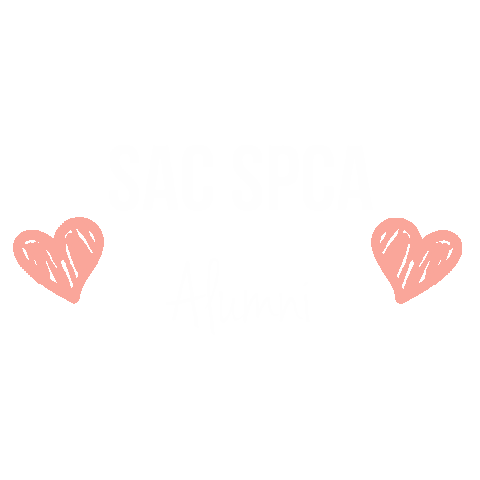 Alumni Sticker by Sacramento SPCA