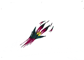 Vadr_ouille GIF