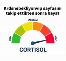 Krdsnebekliyonvip GIF