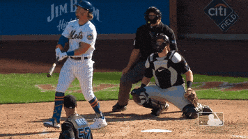 Happy Ny Mets GIF by New York Mets