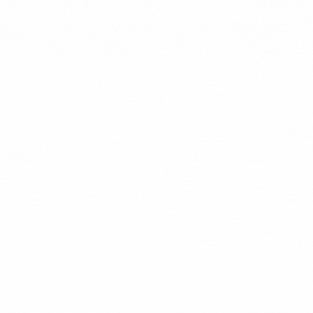 elizabethstclair GIF