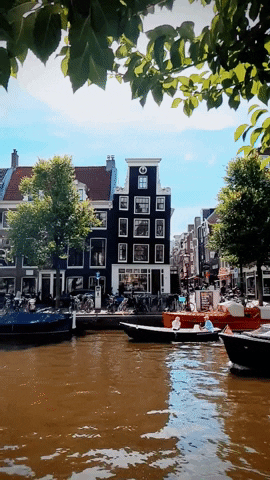 Travel Amsterdam GIF by el