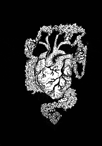 Anatomy art human heart eye Art Print for Sale by Collagedream  Redbubble