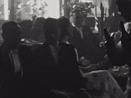 Party Wedding GIF by BrabantinBeelden