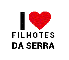 Gisele Flores Sticker