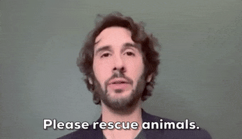 Josh Groban Animal Adoption GIF by GIPHY News