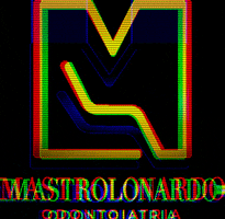 vincenzomastrolonardo GIF