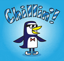 Cartoon gif. A penguin wearing sunglasses and tennis shoes squats up and down, flapping its wings and opening and closing its beak in a smile. Text that looks like ice reads, "Chillin'!"