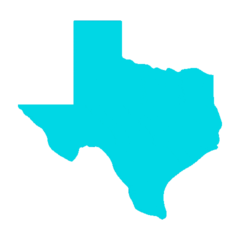 Franchise Dallas Sticker by Voda Cleaning & Restoration