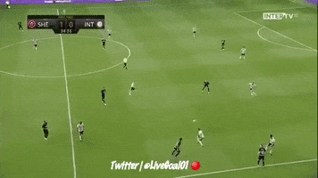 lautaro GIF by nss sports