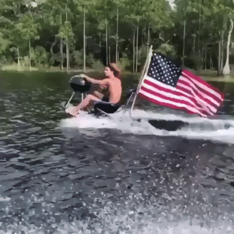 American GIF by MOODMAN - Find & Share on GIPHY