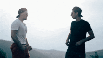 vazha  GIF