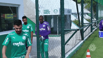 bruno henrique ok GIF by SE Palmeiras