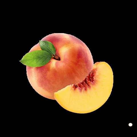 Fitness GIF by SQUATASS