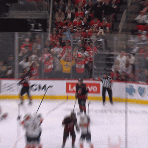 Celebration Win GIF by Florida Panthers