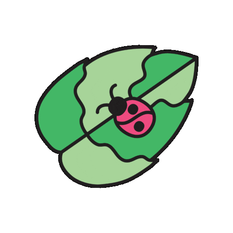 Spring Sticker by Maeve Chocolate