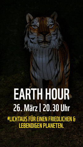 Earth Hour Tiger GIF by WWF Deutschland