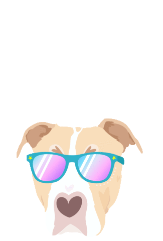 Dog Sunglasses Fostering Saves Lives Sticker by FosterDogs for iOS &  Android | GIPHY