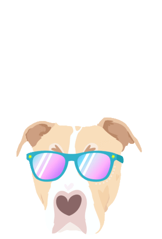 Dog Sunglasses Fostering Saves Lives Sticker by FosterDogs for iOS & Android | GIPHY Dog Sunglasses Fostering Saves Lives Sticker by FosterDogs for iOS & Android | GIPHY