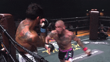 GIF by Dirty Boxing Championship