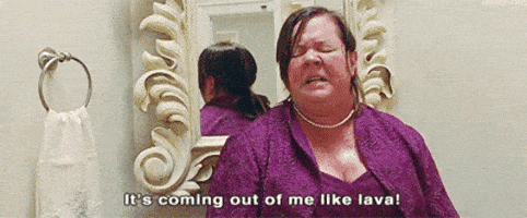 Bathroom Poop Bridesmaids Movie Melissa Mccarthy Bathroom Poop