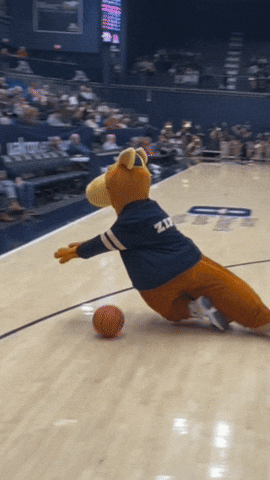 Fall GIF by The University of Akron