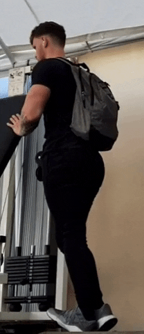 giphy.gif