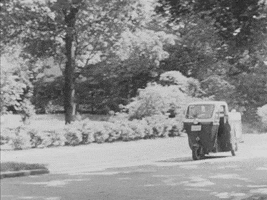Postal Service Delivery GIF by US National Archives