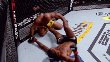 Knockout GIF