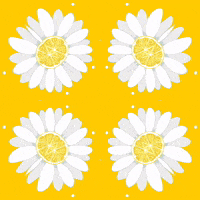 Cheer Up Flowers GIF by Daisy Lemon